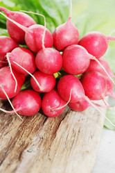 Similar image 8308682