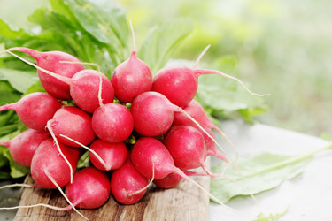 Similar image 8308695