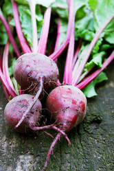 Similar image 8308703