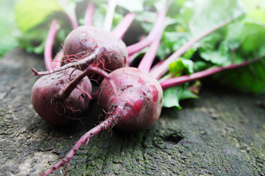 Similar image 8308704