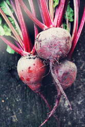 Similar image 8308705