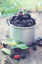 Similar image 8308706