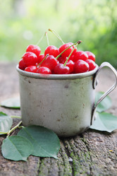 Similar image 8308709