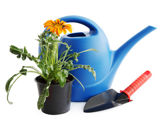 Similar image 8308712