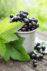 Similar image 8308722