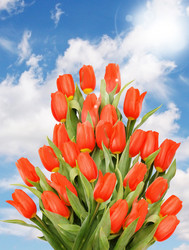 Similar image 8308723