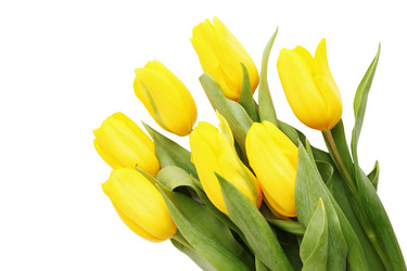 Similar image 8308724