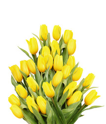 Similar image 8308725