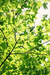 Similar image 8308730