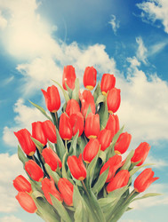 Similar image 8308731