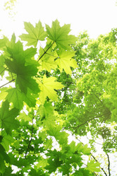 Similar image 8308732