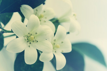 Similar image 8308733