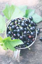 Similar image 8308736