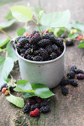 Similar image 8308744