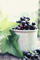 Similar image 8308746