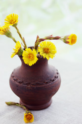 Similar image 8308748