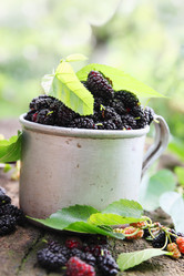 Similar image 8308749