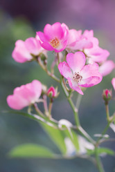 Similar image 8308755