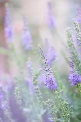 Similar image 8308757