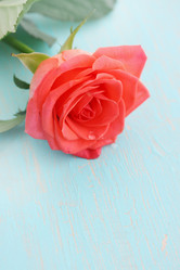 Similar image 8308759