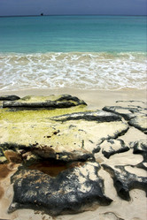 Similar image 8308854