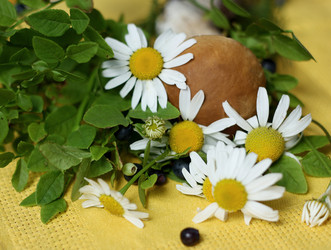 Similar image 8308902