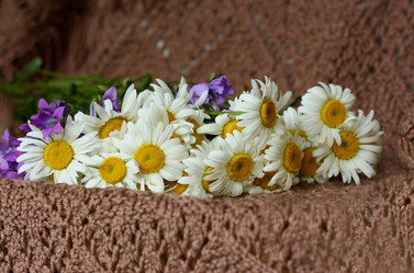 Similar image 8308905