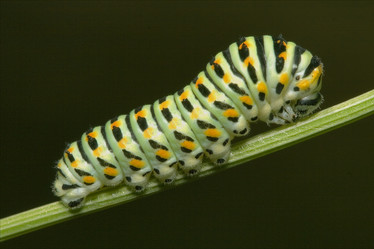 Similar image 8308941