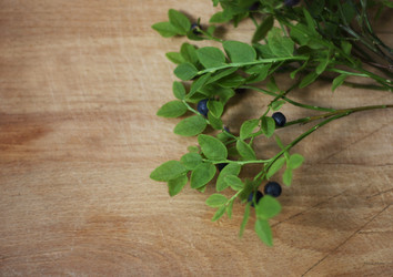 Similar image 8308971