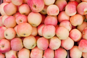 Similar image 8309053