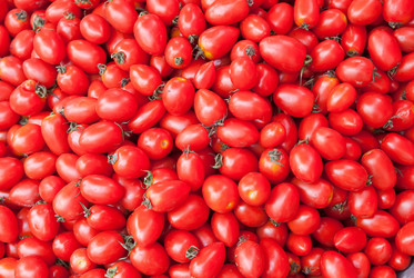 Similar image 8309054