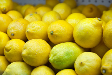 Similar image 8309069