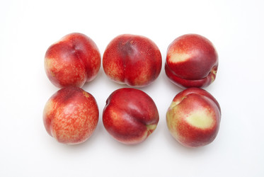 Similar image 8309074