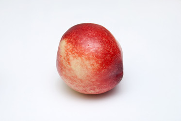 Similar image 8309076