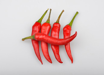 Similar image 8309119