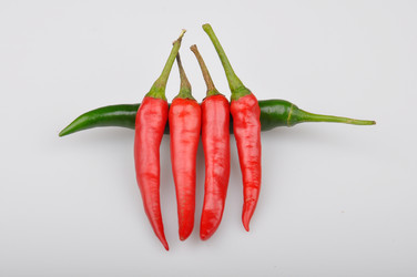 Similar image 8309121