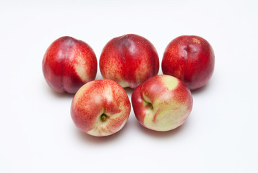 Similar image 8309127