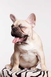 Similar image 8309201