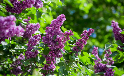 Similar image 8309216