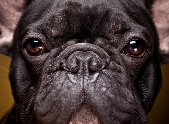 Similar image 8309243