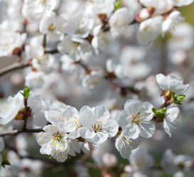 Similar image 8309248