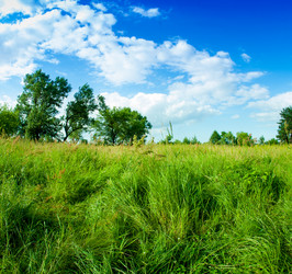 Similar image 8309250