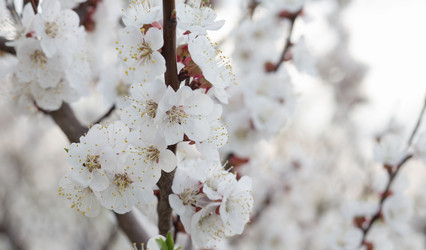 Similar image 8309251