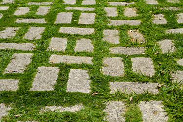 Similar image 8309269