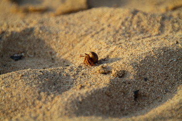 Similar image 8309271