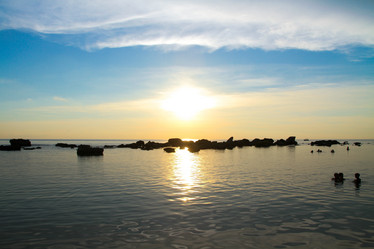 Similar image 8309273