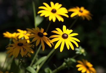 Similar image 8309277