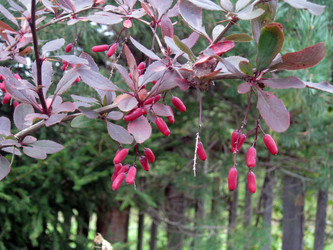 Similar image 8309285