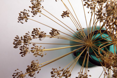 Similar image 8309298