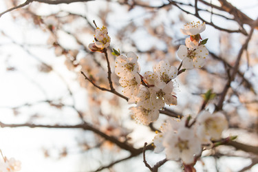 Similar image 8309303